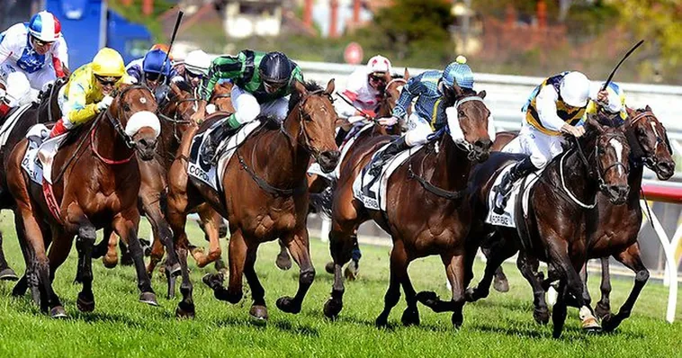 Cá Cược Đua Ngựa EU9 Bí Quyết Chọn Chiến Mã Bất Bại Để Thắng Lớn 2 Cá Cược Đua Ngựa EU9 Bí Quyết Chọn Chiến Mã Bất Bại Để Thắng Lớn